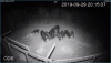 10A441CF-8B4C-4399-AA4F-F0EC3850B4CE.png