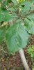 20191004_170851.jpg