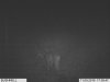 resized IM000020.jpg