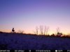 32A0FBBA-B6A8-4D54-8F04-8E20093E29B6.jpeg