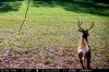 Big 10 2.jpg Big 10 2.jpg