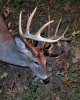 20191207_194802.jpg 20191207_194802.jpg