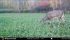 F18DC2ED-8680-498D-8382-380CC732EB7A.jpeg