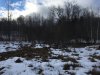 IMG-1013.JPG