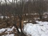 IMG-1016.JPG