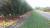 20170916_090913.jpg