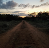 FRONT ROAD AT DUSK.PNG