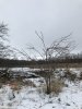 IMG_0379.JPG