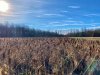 B818D6B1-CEFC-4F31-9078-5B333678504A.jpeg