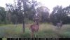 1C5F9665-A1B5-4EB3-BA8F-54F1BC34636F.jpeg