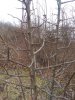 IMG_20200216_134648751.jpg