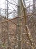 IMG_20200216_134718378.jpg