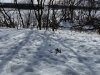 5517CED9-5911-47B8-901C-F69AA1B8A8A3.jpeg