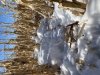 496AC734-9B69-49DF-A604-F78175163997.jpeg