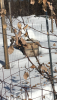 4D844D89-C3D2-4570-8B9D-2F7ED025E04C.png