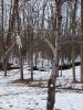 20200301_163837.jpg