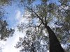 DSCN0698.JPG