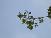 DSCN0718.JPG