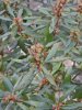 DSCN0741.JPG