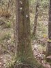 DSCN0725.JPG