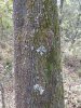 DSCN0728.JPG