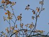 DSCN0732.JPG