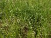 DSCN0681.JPG