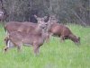 DSCN0781.JPG