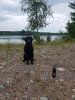 Resized_20190812_184313.jpeg