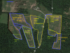 TEMPLE FARM FOOD PLOT LAYOUT.png