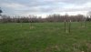 20200402_180702.jpg