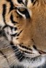 P9231464_PS_Crop.jpg