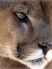 P9231468_PS_Crop.jpg
