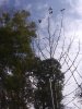 20191006_133834.jpg