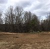 Land Prep.jpg