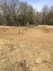 Full Orchard.JPG