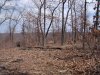 DSCF0242.JPG