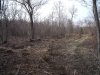 DSCF0245.JPG