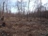 DSCF0247.JPG