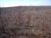 DSCF0572.JPG