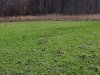 DSCF0569.JPG