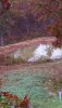 20161103_084825.jpg