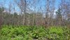 20150628_110231.jpg