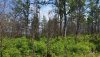 20150628_110236.jpg