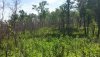 20150628_110413.jpg