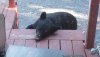 sleepy head.jpg