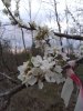 IMG_20200507_193436013.jpg