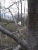IMG_20200507_193446140.jpg