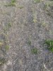 5EBDDCB2-5135-4132-8C27-919E35B98170.jpeg