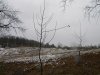 DSCN1830.JPG
